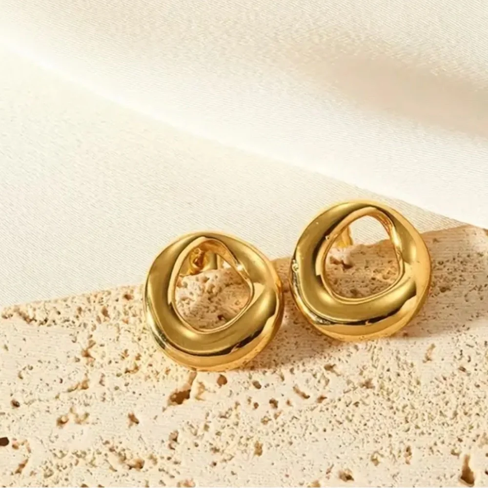 Elegant Gold-Tone Earrings steel